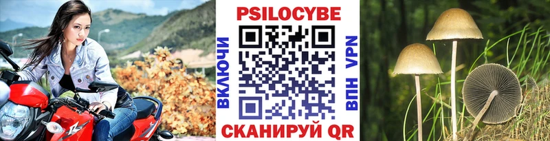 Купить где  Сызрань  Псилоцибиновые грибы Psilocybe 